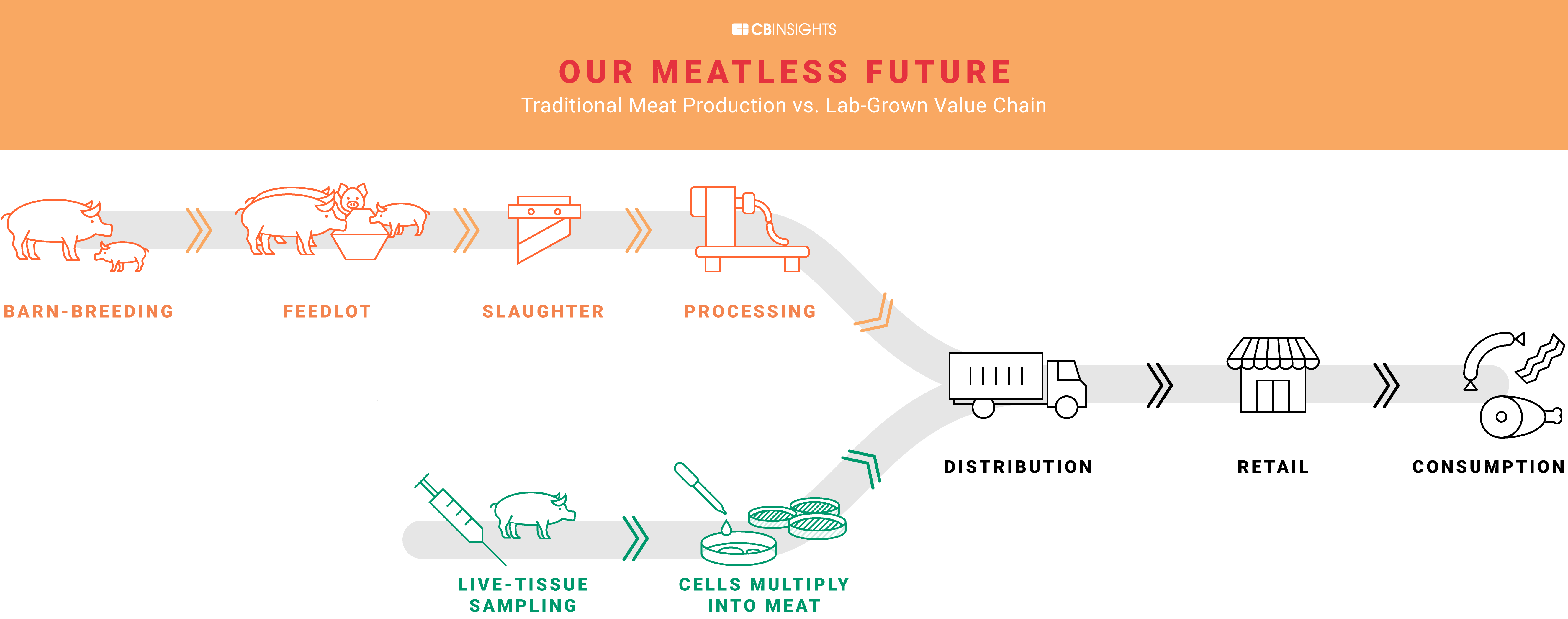 110717-Our-Meatless-Future-Value-Chain-Comp-V3